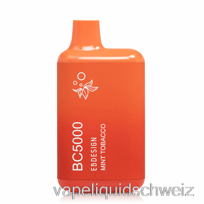 BC5000 Einweg-Minztabak-Vaporizer Ohne Nikotin